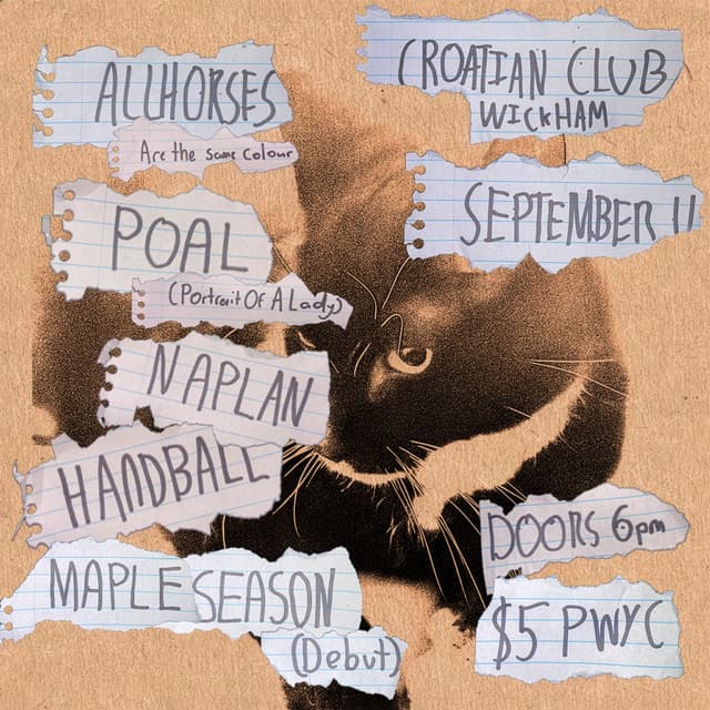 portrait_of_a_lady_band, _naplan_, handball, mapleseason.band